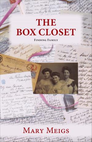 Cover of the book The Box Closet by Yannick Renaud
