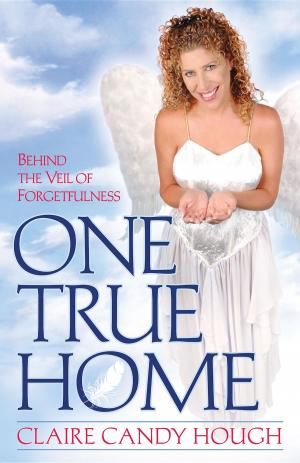bigCover of the book One True Home - Behind the Veil of Forgetfulness by 