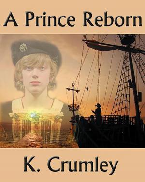 Cover of the book A Prince Reborn by TC Davis Jr