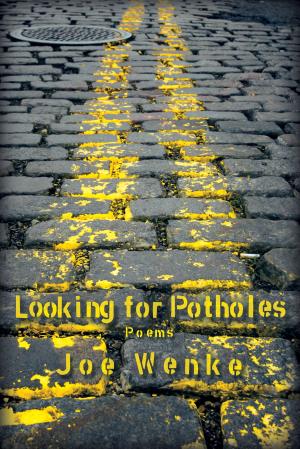 Cover of the book Looking for Potholes: Poems by Darryl Holiday Jr