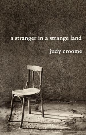 Book cover of A Stranger in a Strange Land