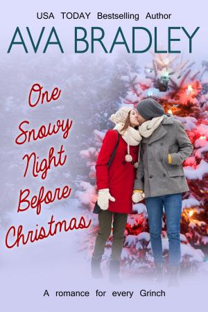Cover of the book One Snowy Night Before Christmas by Ava Bradley