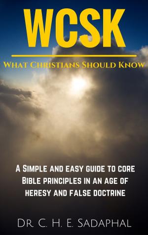 Cover of the book What Christians Should Know: A Simple and Easy Guide to Core Bible Principles in an Age of Heresy and False Doctrine by Édouard Dulaurier