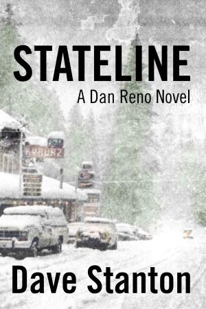 Cover of the book Stateline by Amelia Anderson