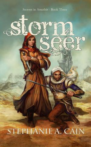 Cover of the book Stormseer by Susan Brassfield Cogan