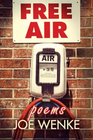 Cover of the book Free Air: Poems by Megan E. Freeman