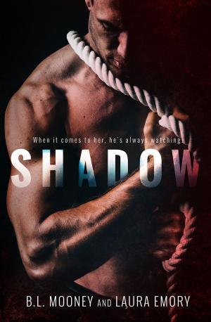 Book cover of Shadow