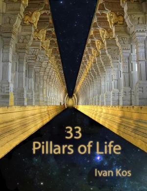 Cover of the book 33 Pillars of Life by Alana Jones