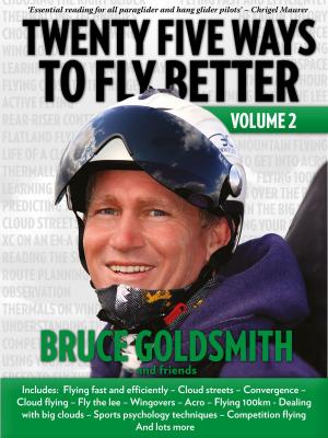 Book cover of Twenty Five Ways to Fly Better Volume 2