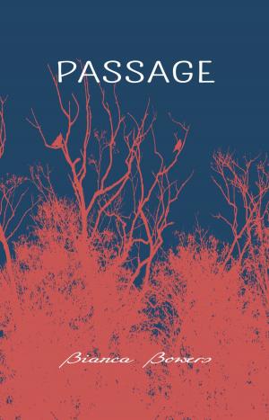Cover of the book PASSAGE by 小莊Sean Chuang, 61Chi, 安哲Ahn Zhe, 提姆吉柏森Tim Gibson, 瑞秋芬頓Rachel Fenton, 方樹豪Ant Sang