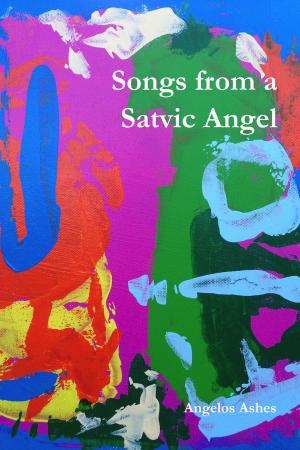 Cover of the book Songs from a Satvic Angel by R. L. Stedman