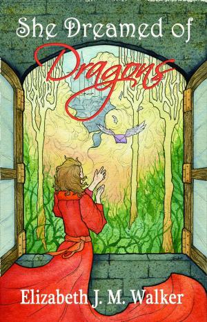Cover of the book She Dreamed of Dragons by Leigh Goff