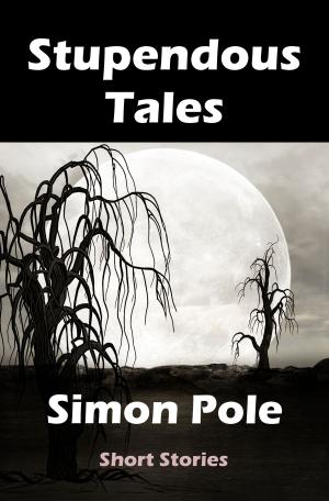 Cover of the book Stupendous Tales by SB James