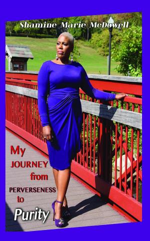 Cover of My Journey from Perverseness to Purity