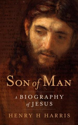Book cover of Son of Man: A Biography of Jesus