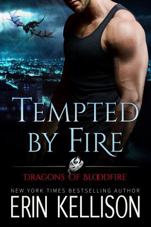Cover of the book Tempted by Fire by Erin Kellison