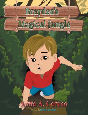 Cover of the book Brayden's Magical Jungle by David Di Paolo