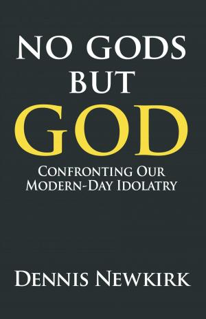 Book cover of No gods but God