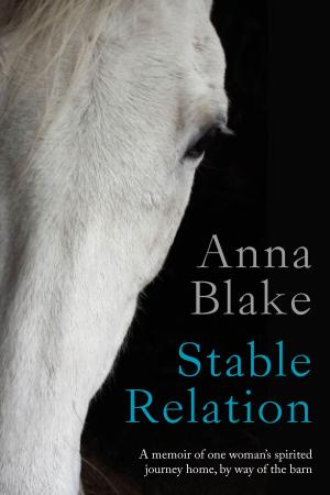 Cover of the book Stable Relation by Brian E. Priest