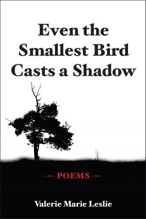 Book cover of Even the Smallest Bird Casts a Shadow