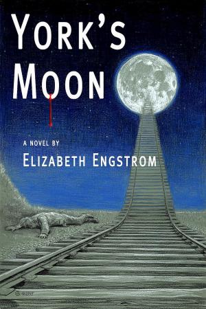 Cover of the book York's Moon by Elizabeth Engstrom
