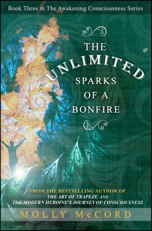 Cover of The Unlimited Sparks of a Bonfire