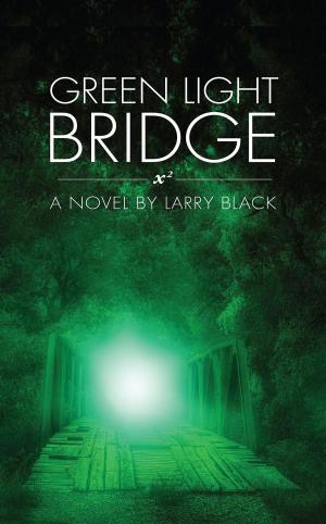 Cover of Green Light Bridge