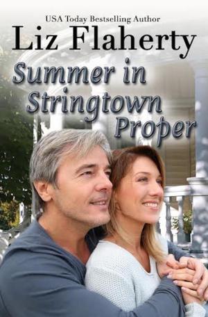 Book cover of Summer in Stringtown Proper