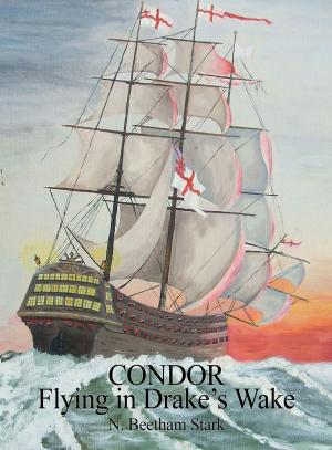 Cover of Condor: Flying in Drake's Wake