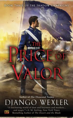 Cover of the book The Price of Valor by Denise Swanson