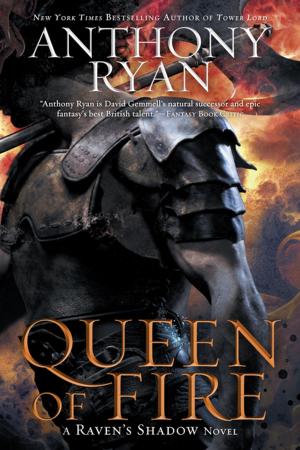 Cover of the book Queen of Fire by J. Rose Alexander