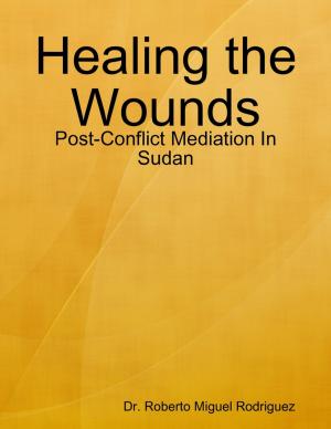 Book cover of Healing the Wounds - Post-Conflict Mediation In Sudan