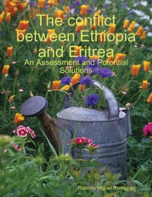 bigCover of the book The Conflict Between Ethiopia and Eritrea - an Assessment and Potential Solutions by 