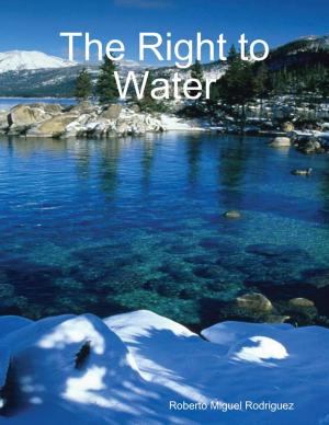 Cover of the book The Right to Water by Kamal al-Syyed