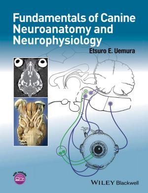 Cover of the book Fundamentals of Canine Neuroanatomy and Neurophysiology by 