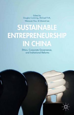 Cover of the book Sustainable Entrepreneurship in China by J. Shulman