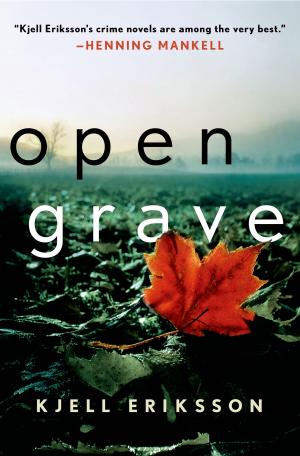 Cover of the book Open Grave by Mitchell Kriegman