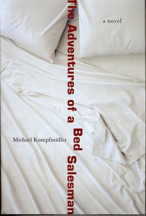 Cover of the book The Adventures of a Bed Salesman by Michael Ignatieff