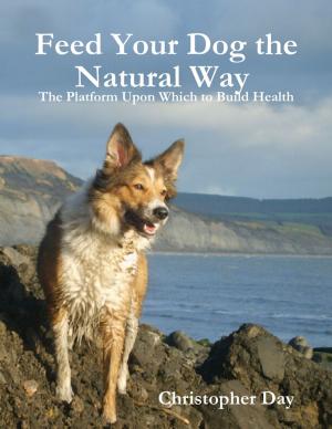 Cover of the book Feed Your Dog the Natural Way : The Platform Upon Which to Build Health by Sandra Staines