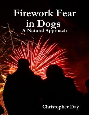 Cover of the book Firework Fear in Dogs : A Natural Approach by Monty Witt
