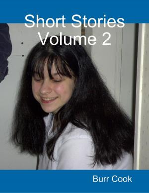 Cover of the book Short Stories Volume 2 by Midwestern Gothic