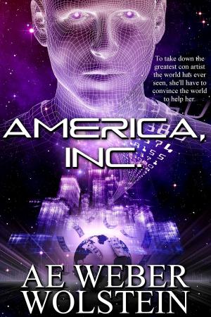 Cover of the book America, Inc. by DK Abbott