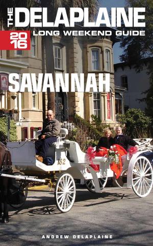 Book cover of Savannah: The Delaplaine 2016 Long Weekend Guide