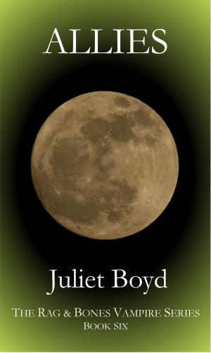 Cover of the book Rag & Bones: Allies by Juliet Boyd