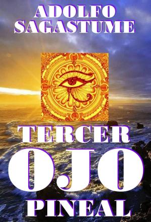 Book cover of Tercer Ojo Pineal