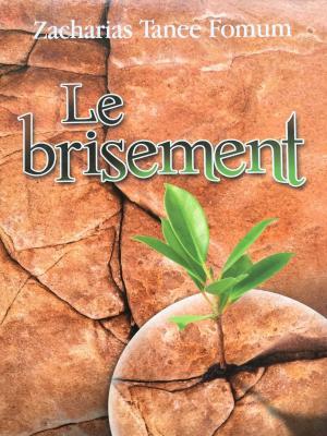Cover of the book Le Brisement by David Michael Lippman