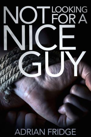 Cover of the book Not Looking for a Nice Guy by A. Violet End
