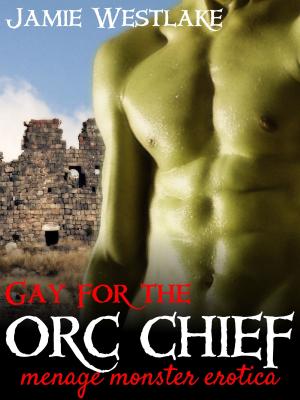 Book cover of Gay For The Orc Chief