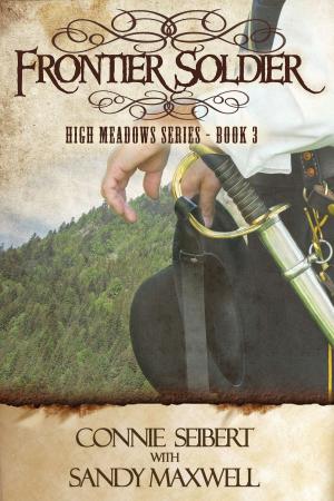 Book cover of Frontier Soldier