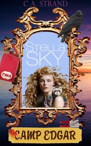 bigCover of the book Stella Sky: Camp Edgar by 
